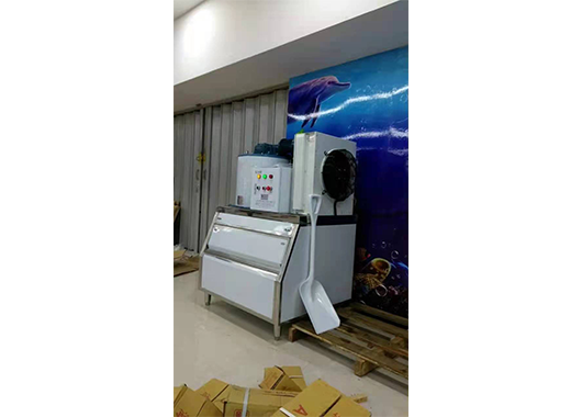 Case of 500 kg flake ice machine in an aquatic product store in Hainan