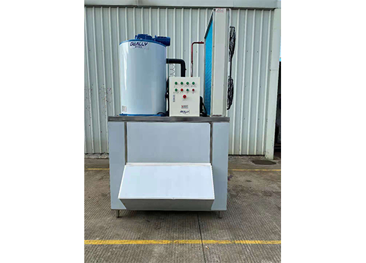 Case of 3 ton flake ice machine in an aquatic product market in Guangxi