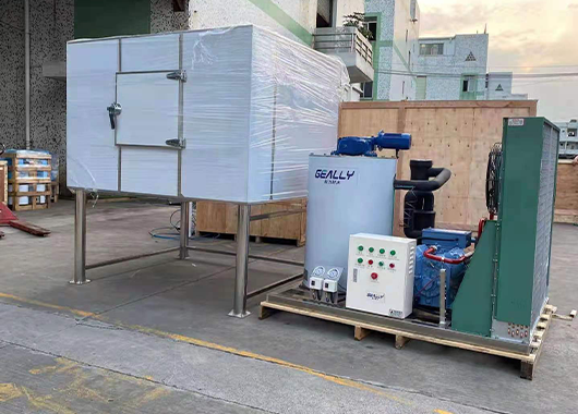 Case of a 3 ton flake ice machine in a chemical plant in Guangxi